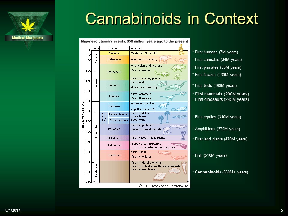 Cannabinoids in context