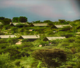 Buffalo Camp (Photo by Lisa Drake)