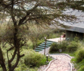 Our Buffalo Camp Tent (Photo by Lisa Drake)