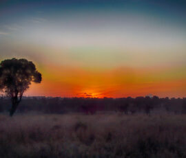 Lemala Sunrise (Photo by Lisa Drake)